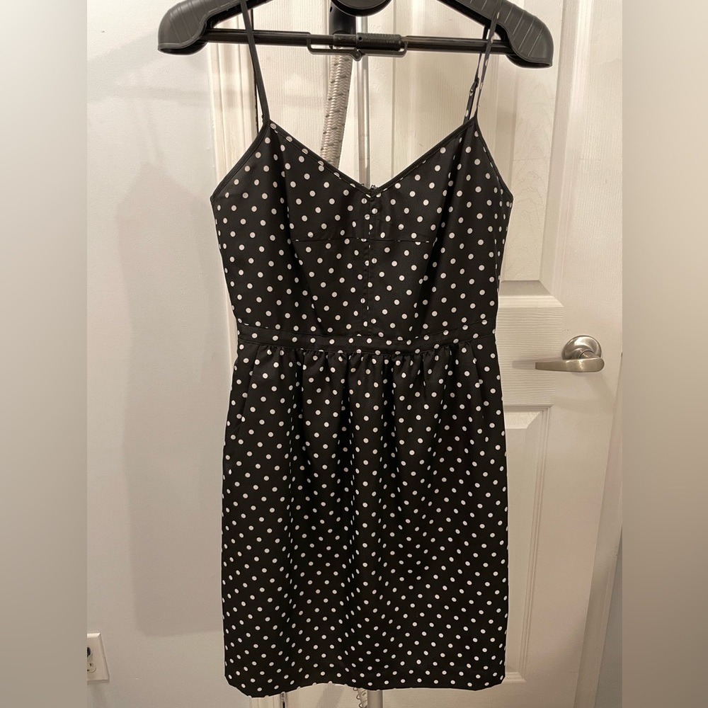 J Crew A-line Polka Dot Dress